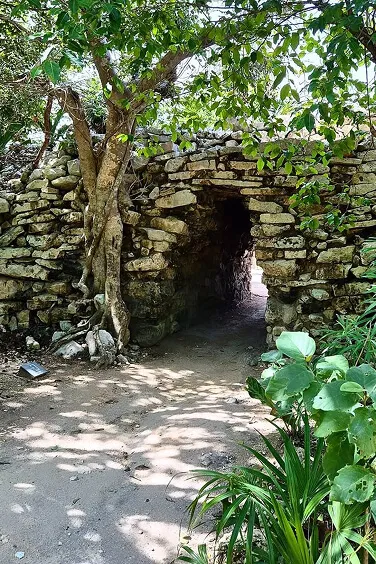 Puerta de la selva
