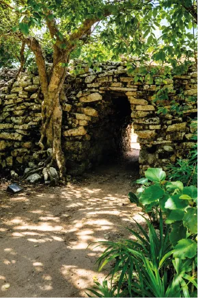 Puerta de la selva